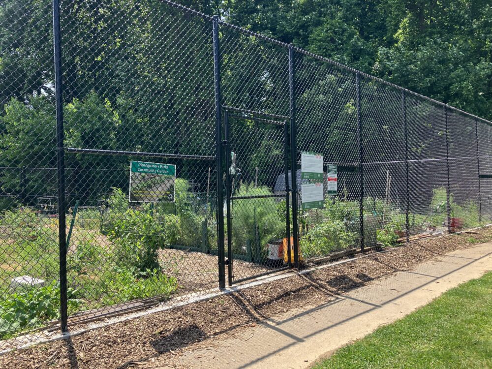 view of Long Branch Community Garden from outside the fence