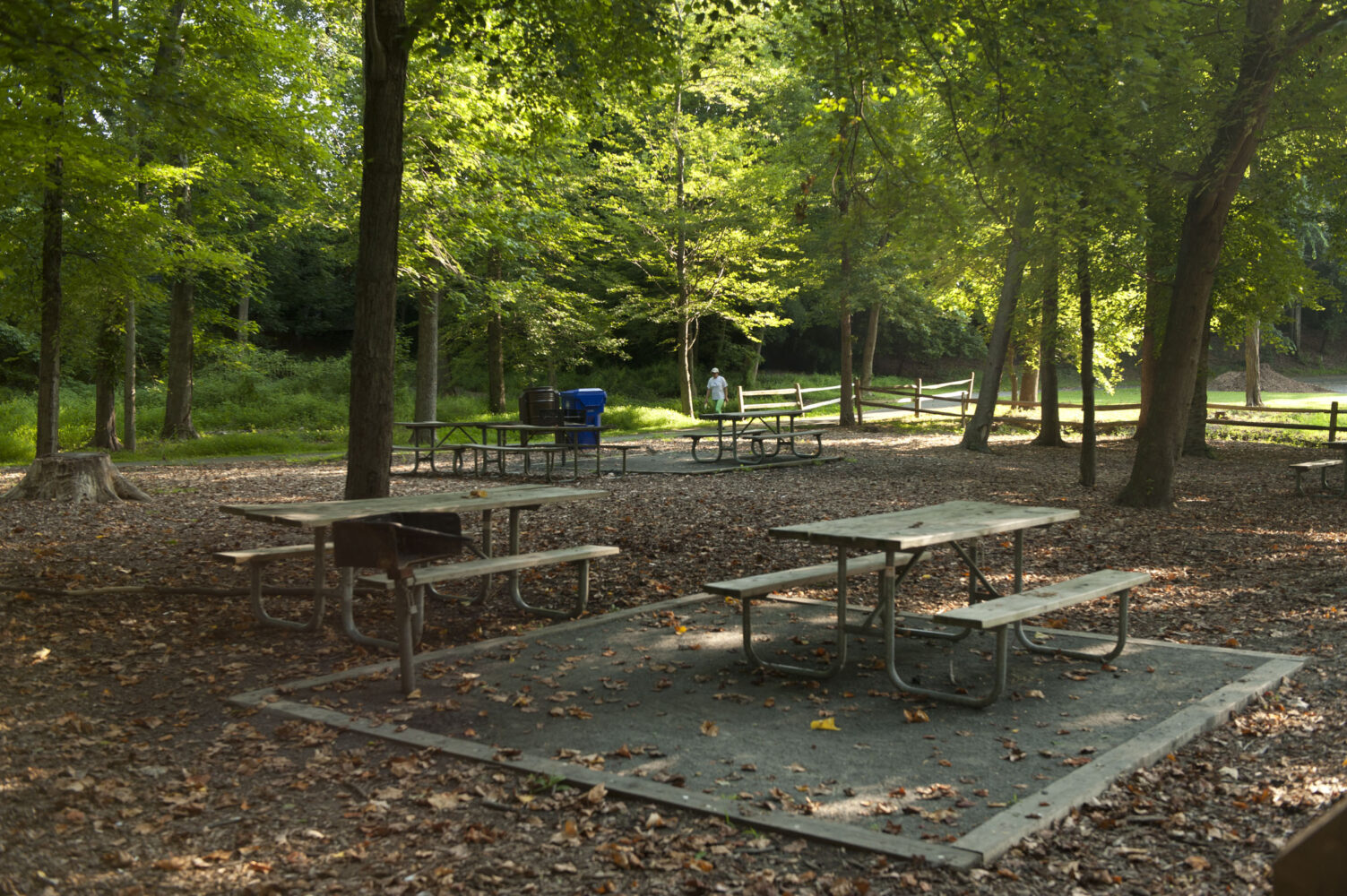 Picnic Area - Martin Luther King Jr. Recreational Park