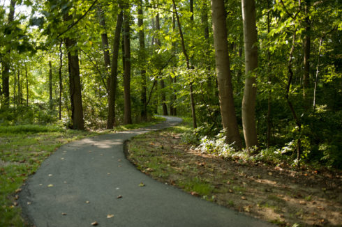 Pathway at Martin Luther King Jr. Recreational Park