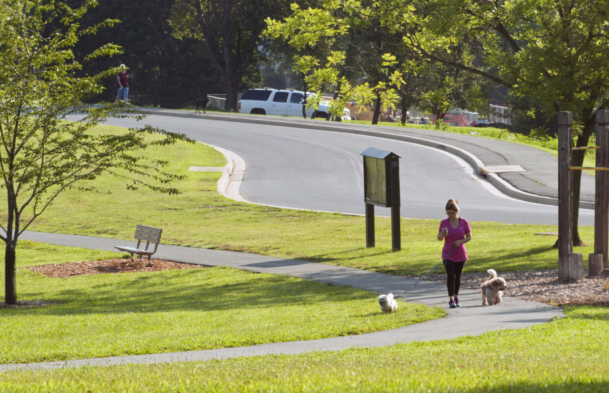 Vistor walking dogs at Martin Luther King Jr. Recreational Park