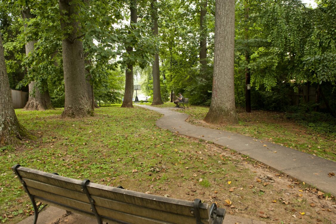 Pathway at Maiden Lane Urban Park