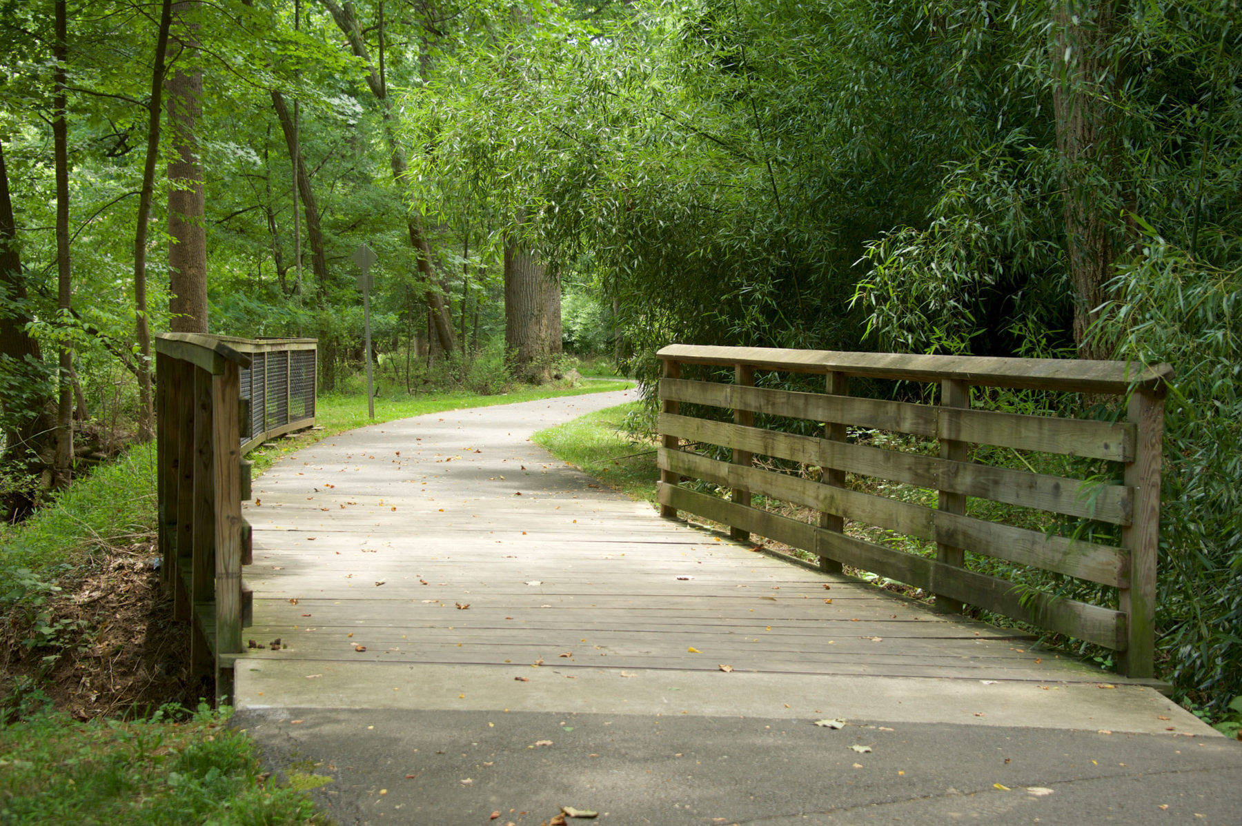 Matthew Henson Trail with timber bridge and rails