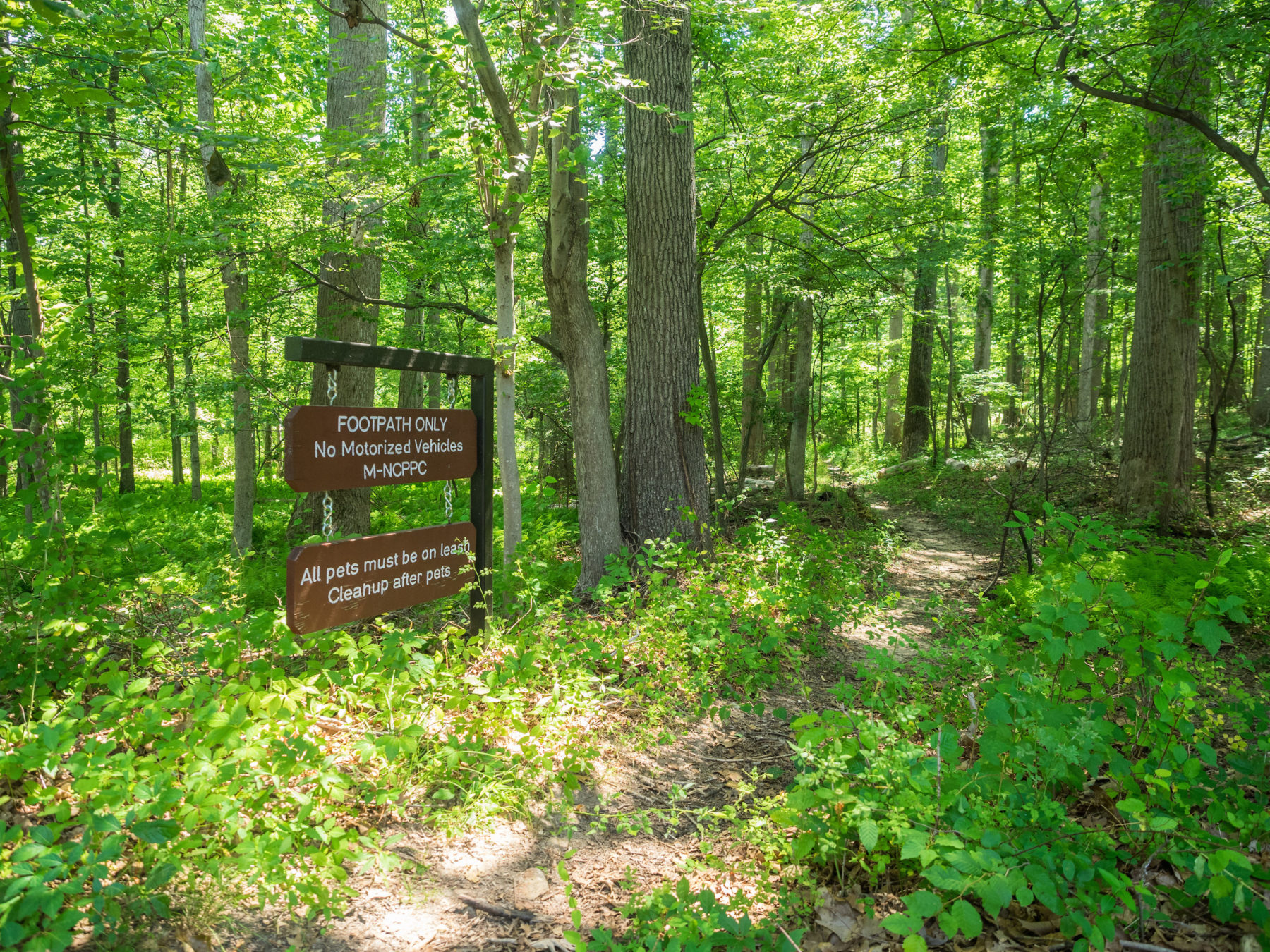 Path at Maydale Conservation Park