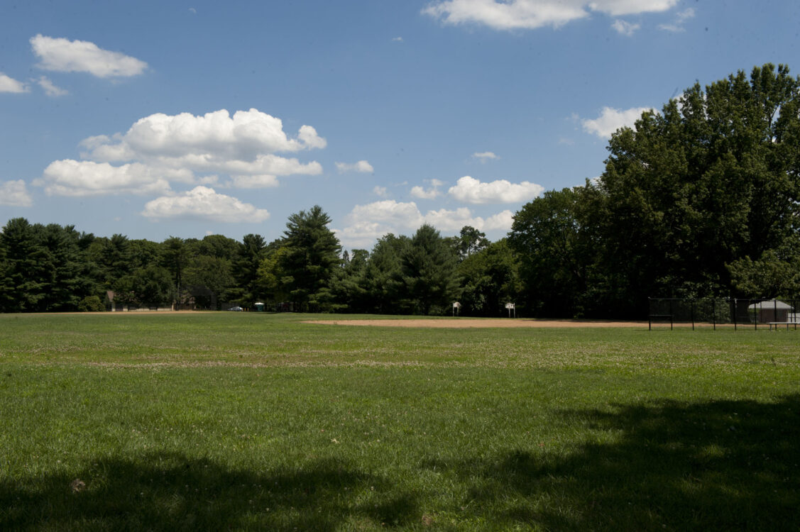 Field at Nolte Local Park