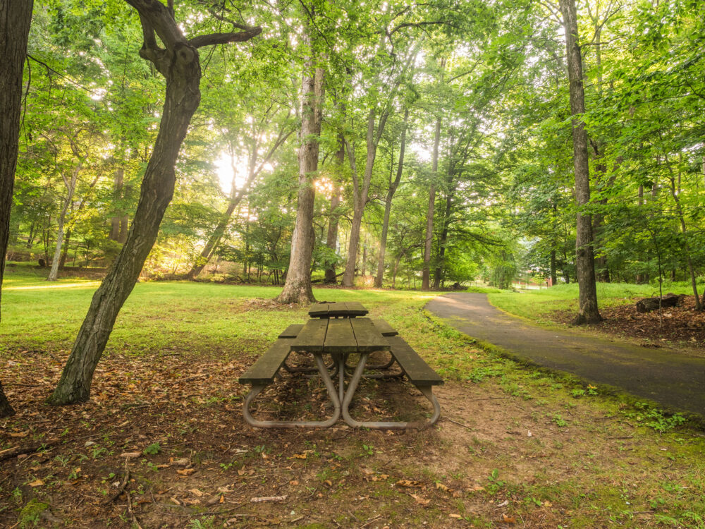 Picnic Table at Norbeck Meadows Neighborhood Park