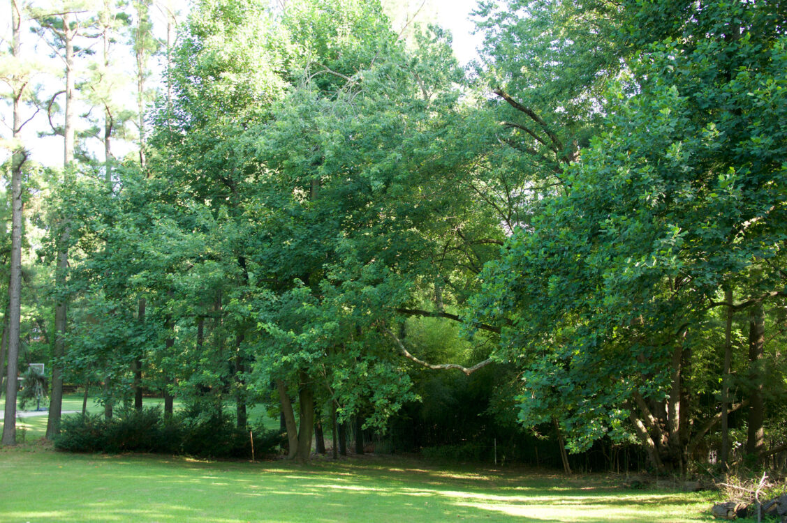 Old Farm Neighborhood Conservation Area