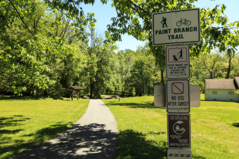 Paint Branch Trail