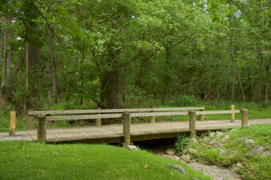 Bridge Trail at Parkland Local Park