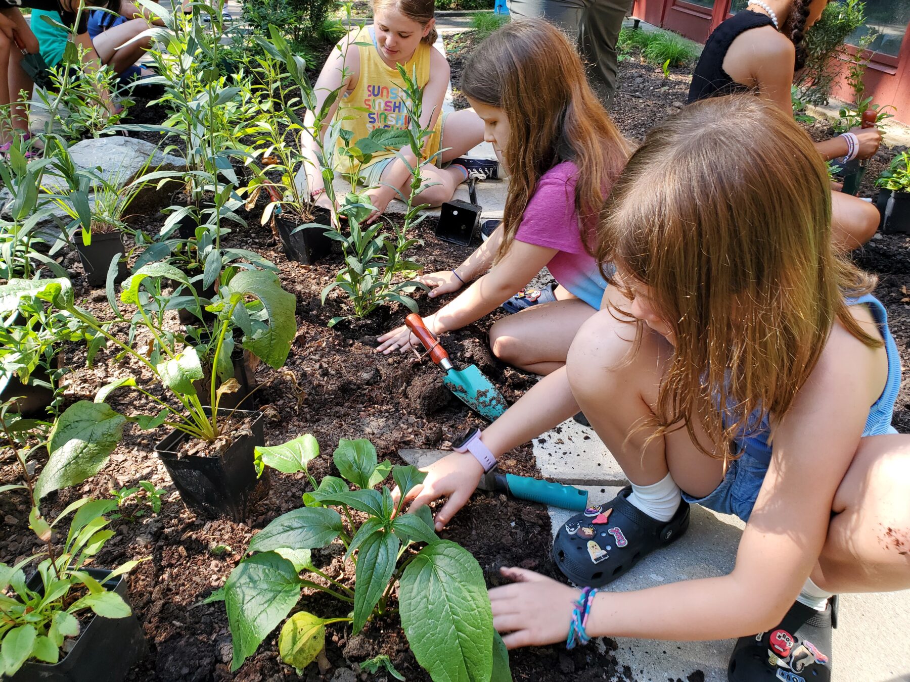 Youth working in the garden