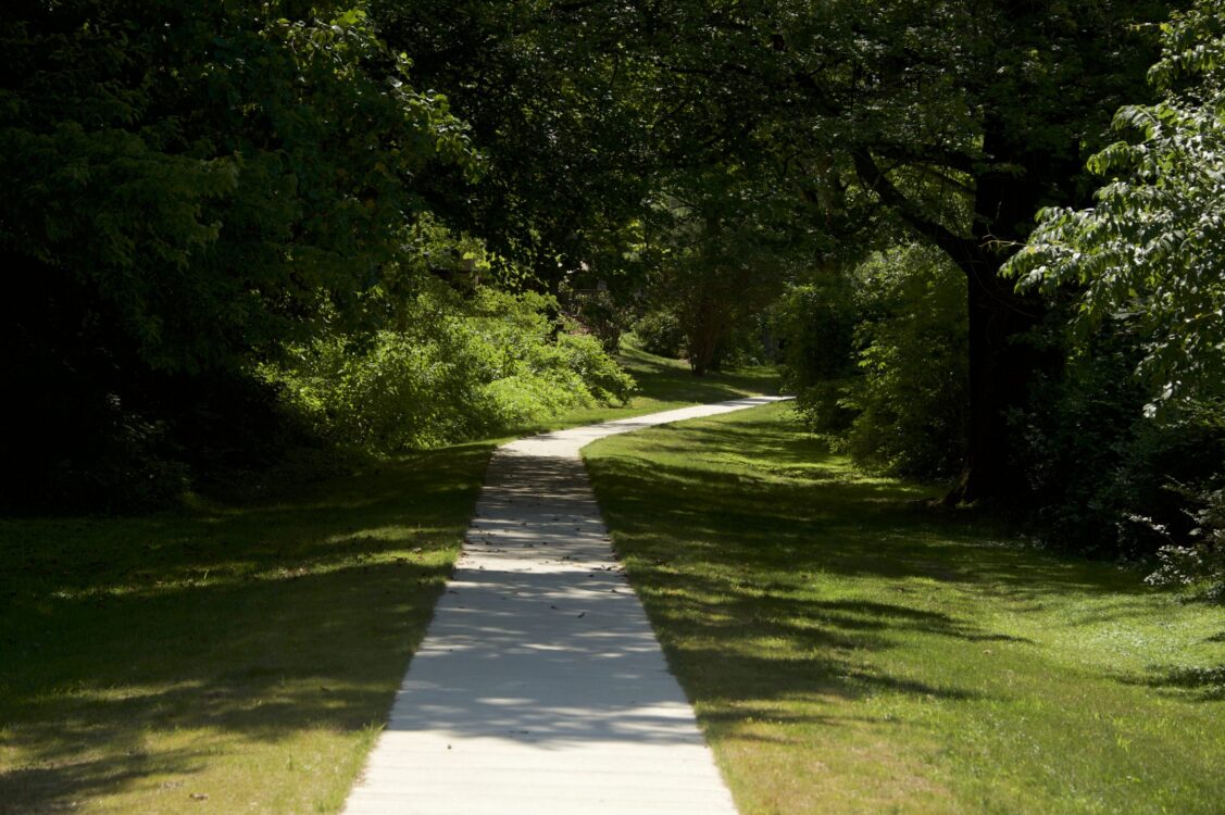 Pathway at Pleasant View Local Park