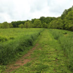 Rachel Carson Conservation Park