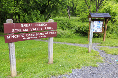 Trail Head at Seneca Creek Greenway Trail