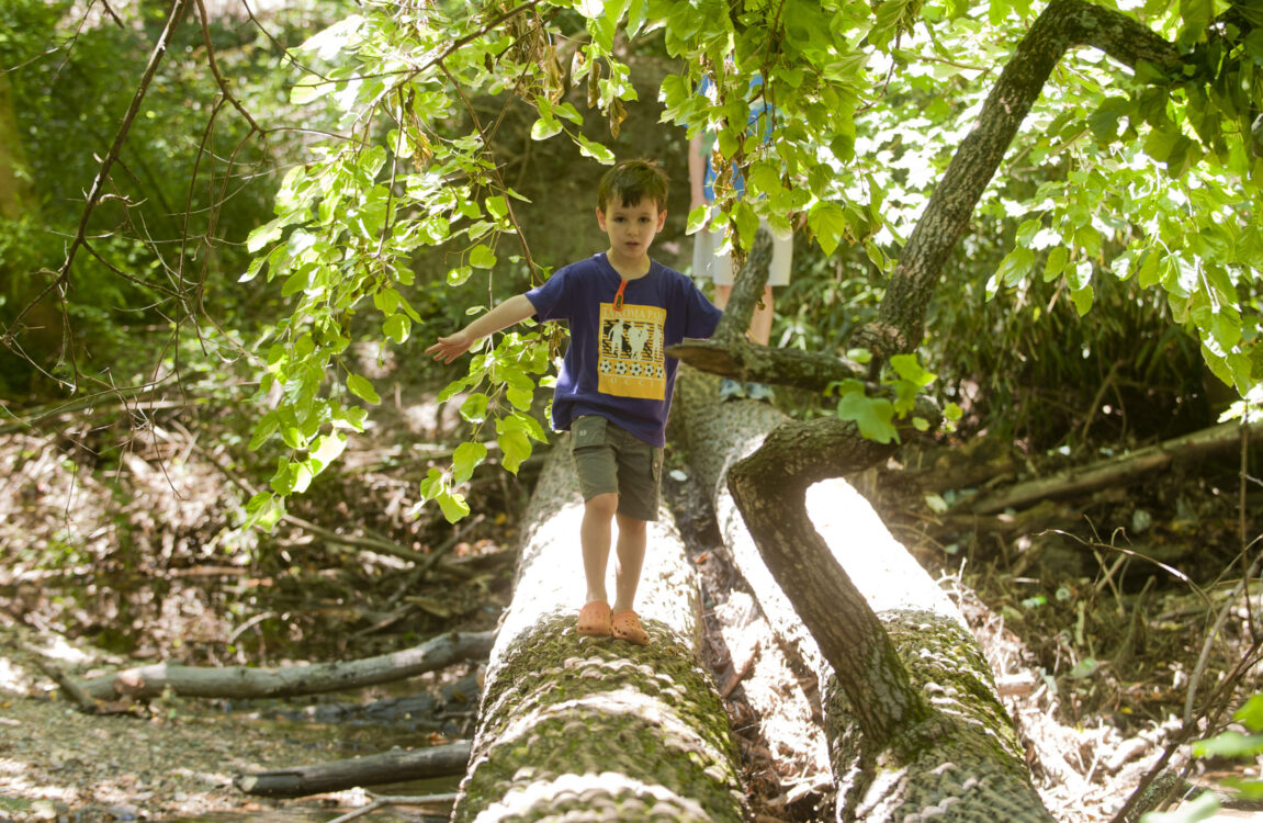 A child balances on a log at Sligo Creek North Neighborhood Park