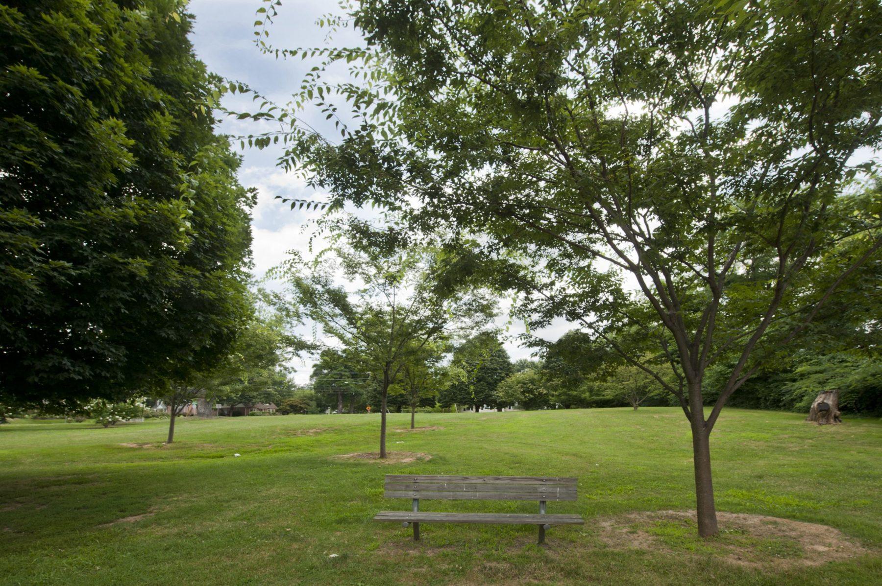 Bench at South Four Corners Neighborhood Park