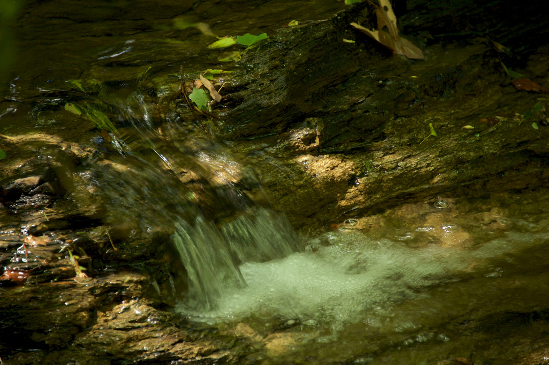 Saint Paul Neighborhood Conservation Area