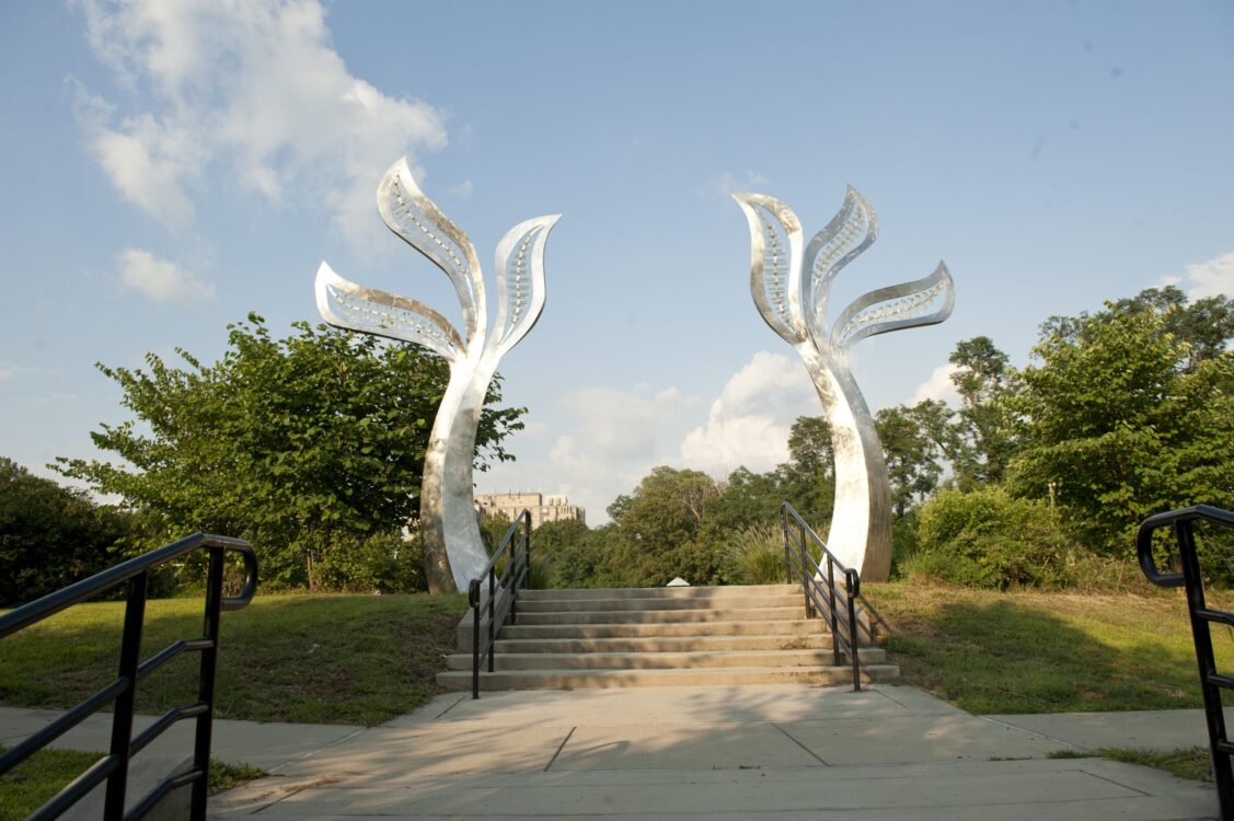 Wing Sculpture Takoma Piny Branch Park