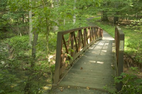 Bridge at Tilden Woods Local Park