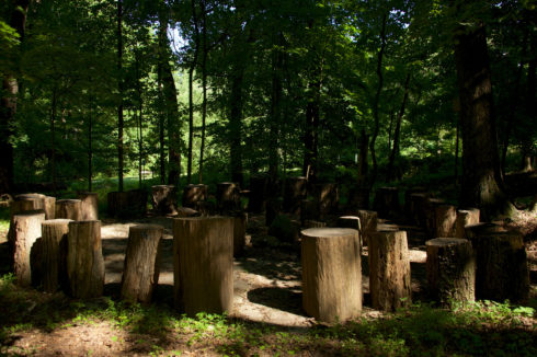 Tree Stumps at Waverly-Schuylkill Neighborhood Park