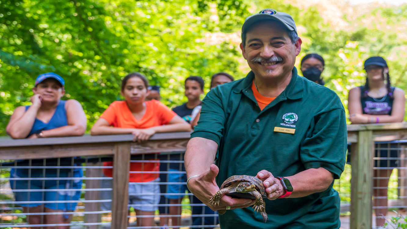 volunteer shows off a box turtle to nature center visitors