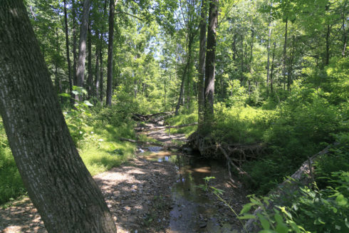 magruder branch trail