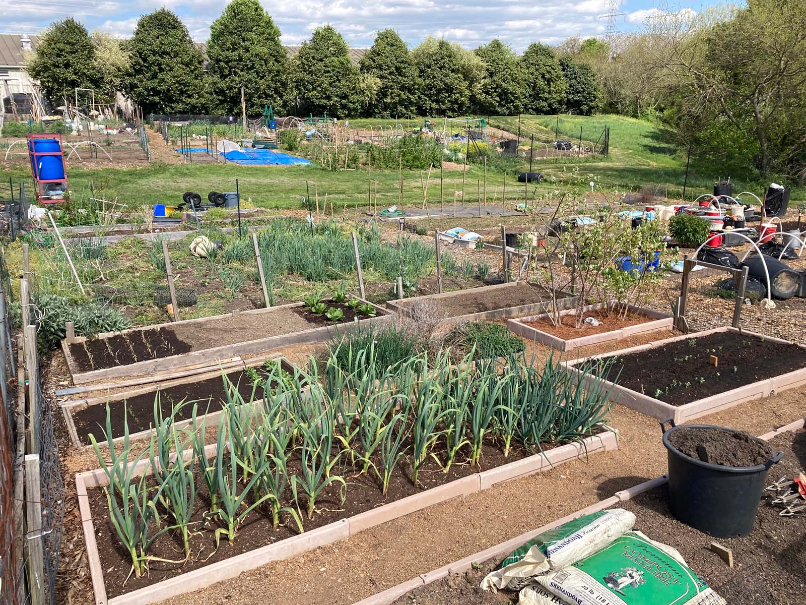 germantown community gardens