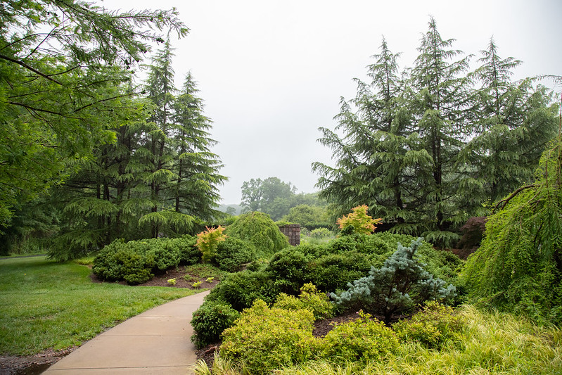 heartsmart trail at brookside gardens in the fall