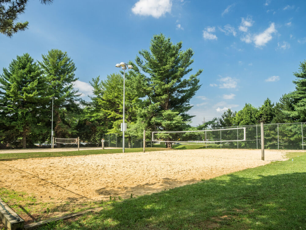 volleyball at Olney Manor Recreational Park