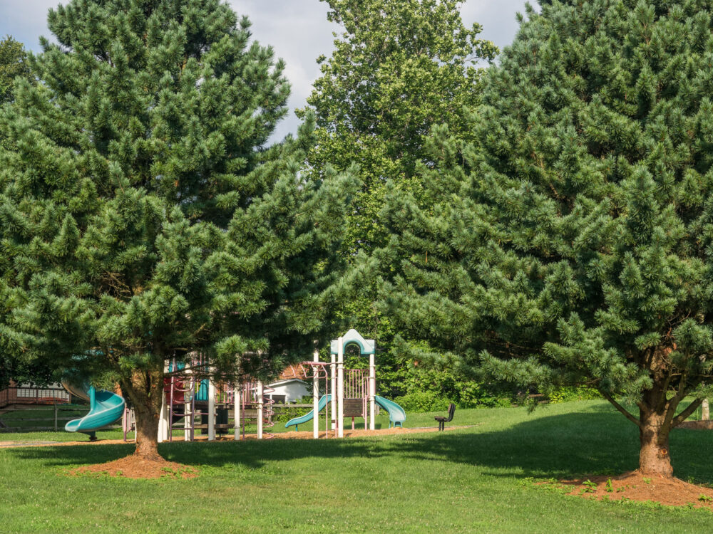 playground Olney Mill Neighborhood Park