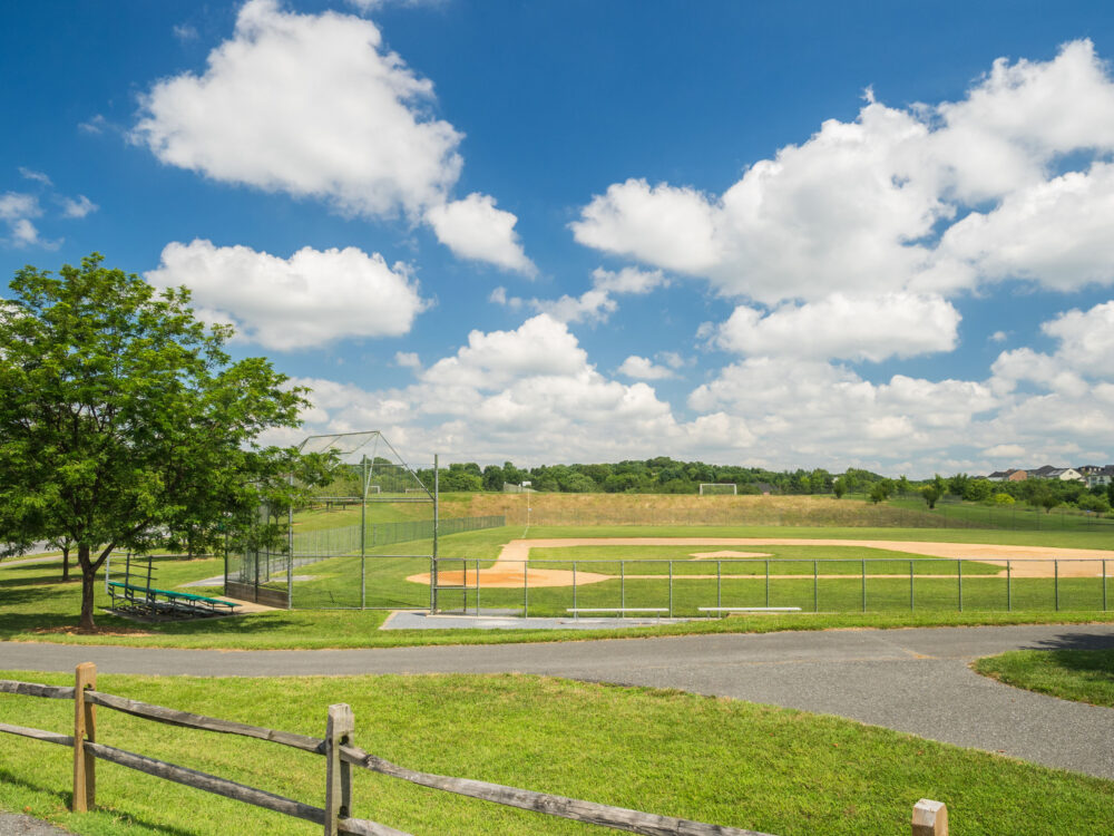 baseball field Ovid Hazen Wells Recreational Park