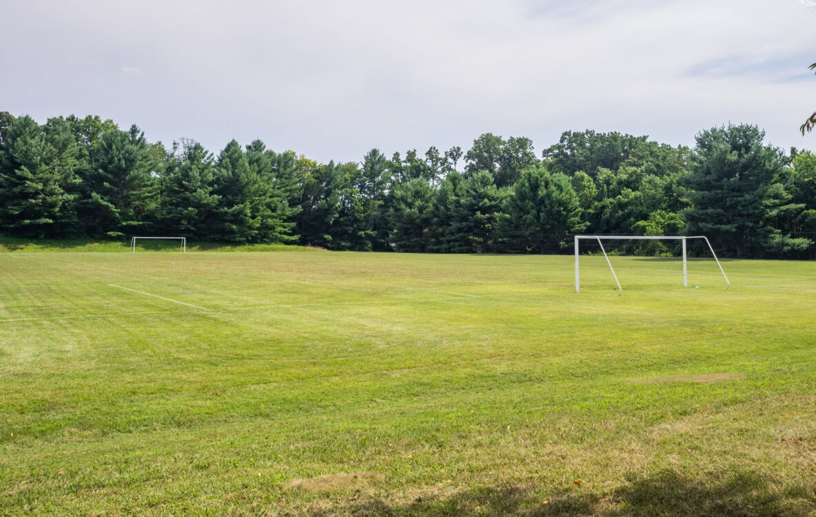 soccer field at Stonegate Local Park