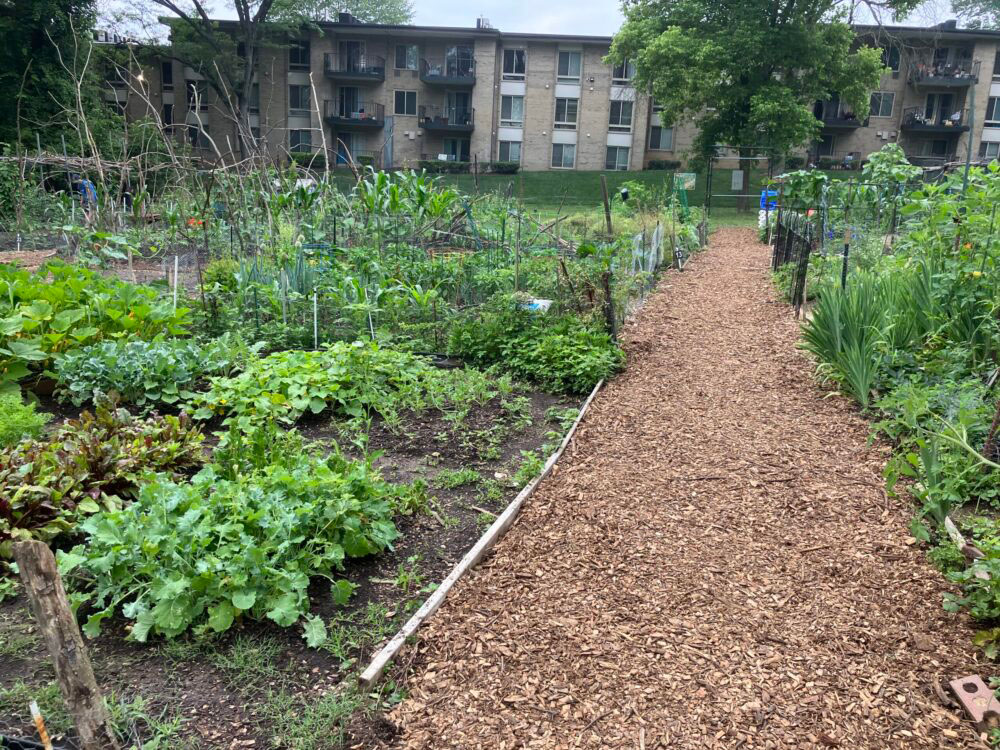 pathway at gaynor road community garden