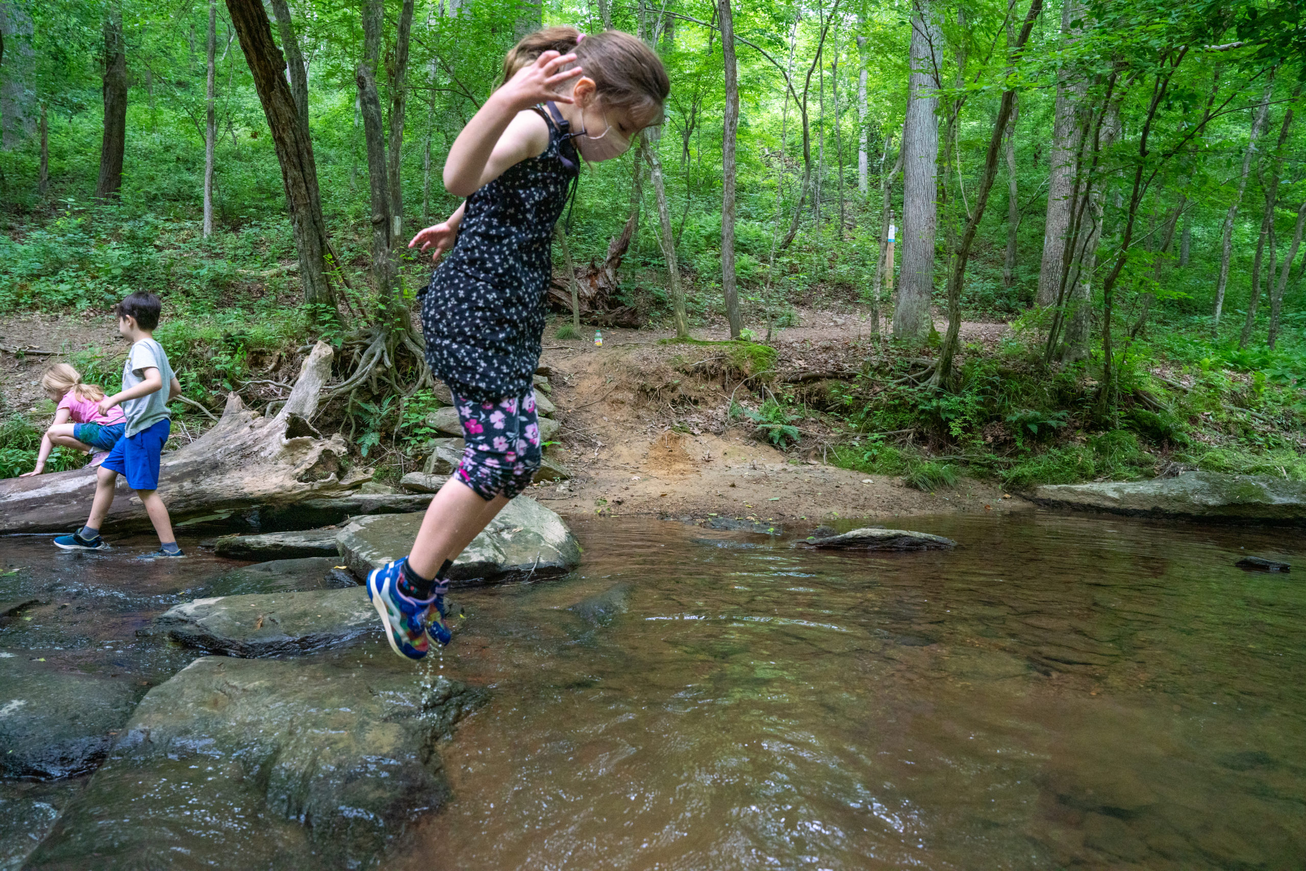 A small child jumps off of a rbrown rock into a creek.