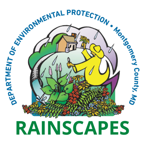 Department of Environmental Protection RainScapes Program logo 