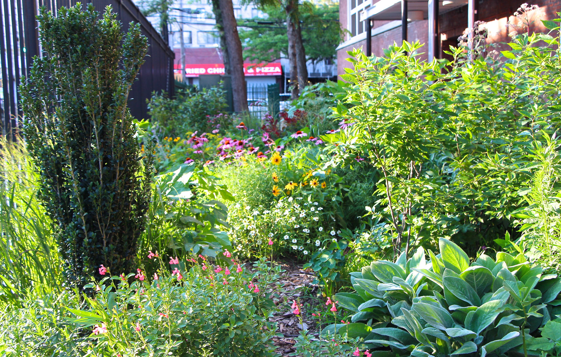 Landscape in an urban setting - done by designer Veronica Tyson-Strait