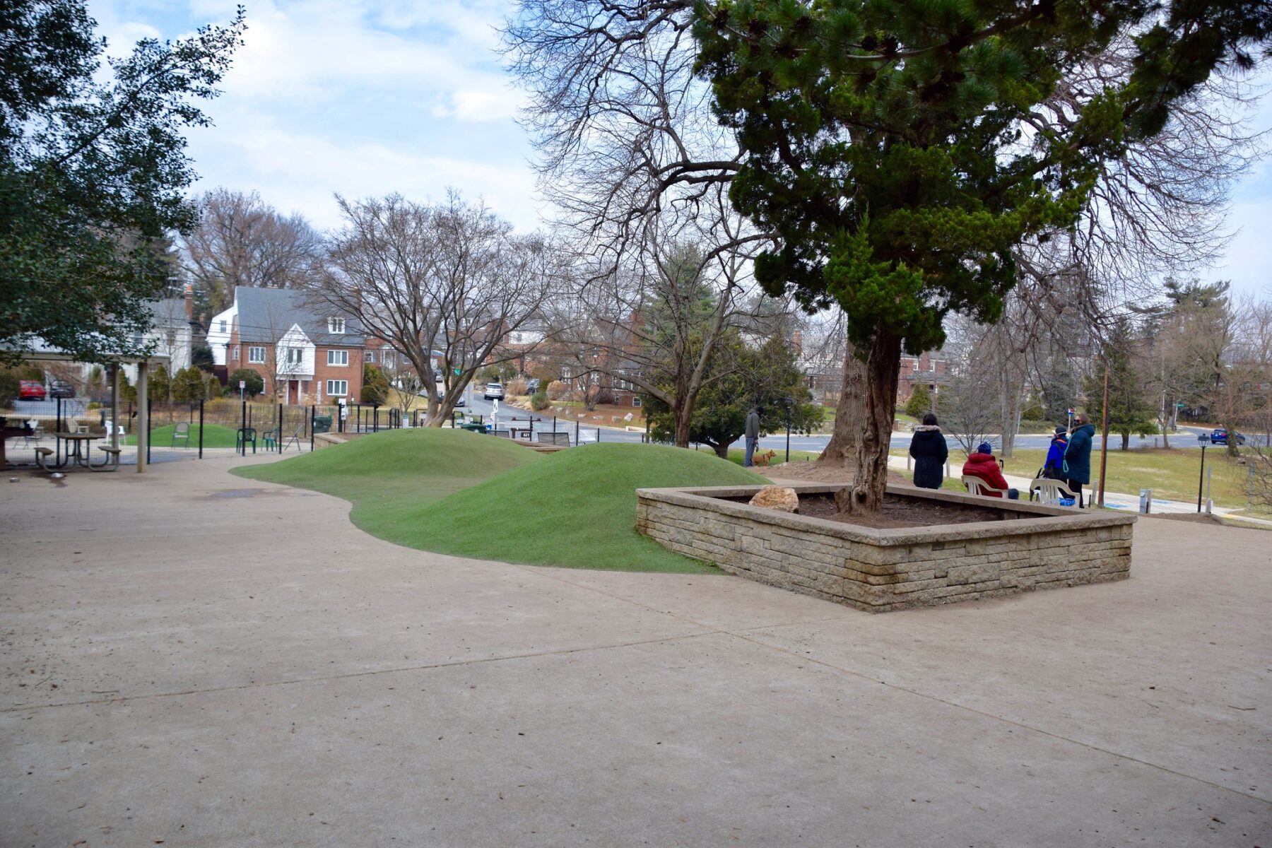 dog park elsworth urban