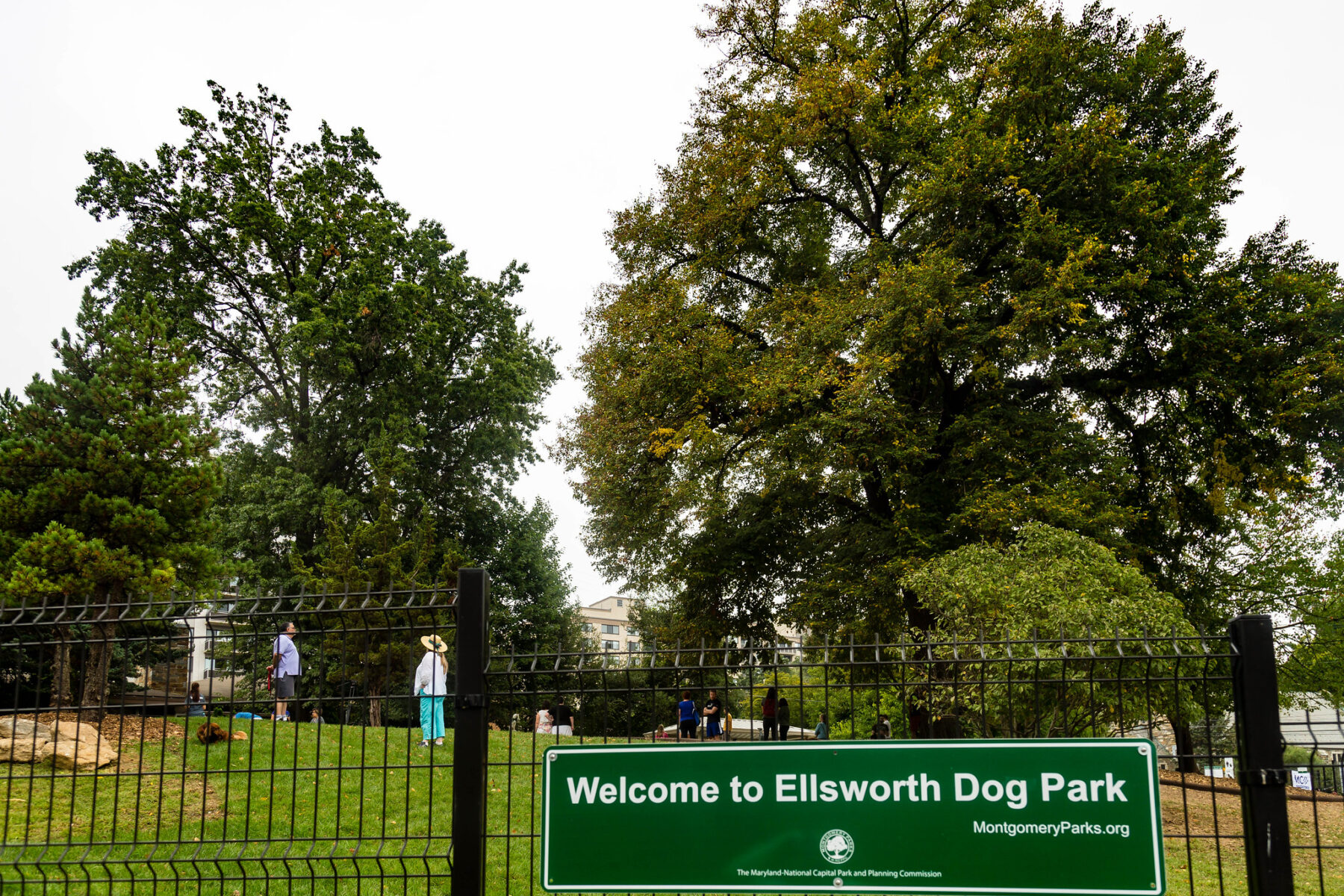 dog park sign ellsworth