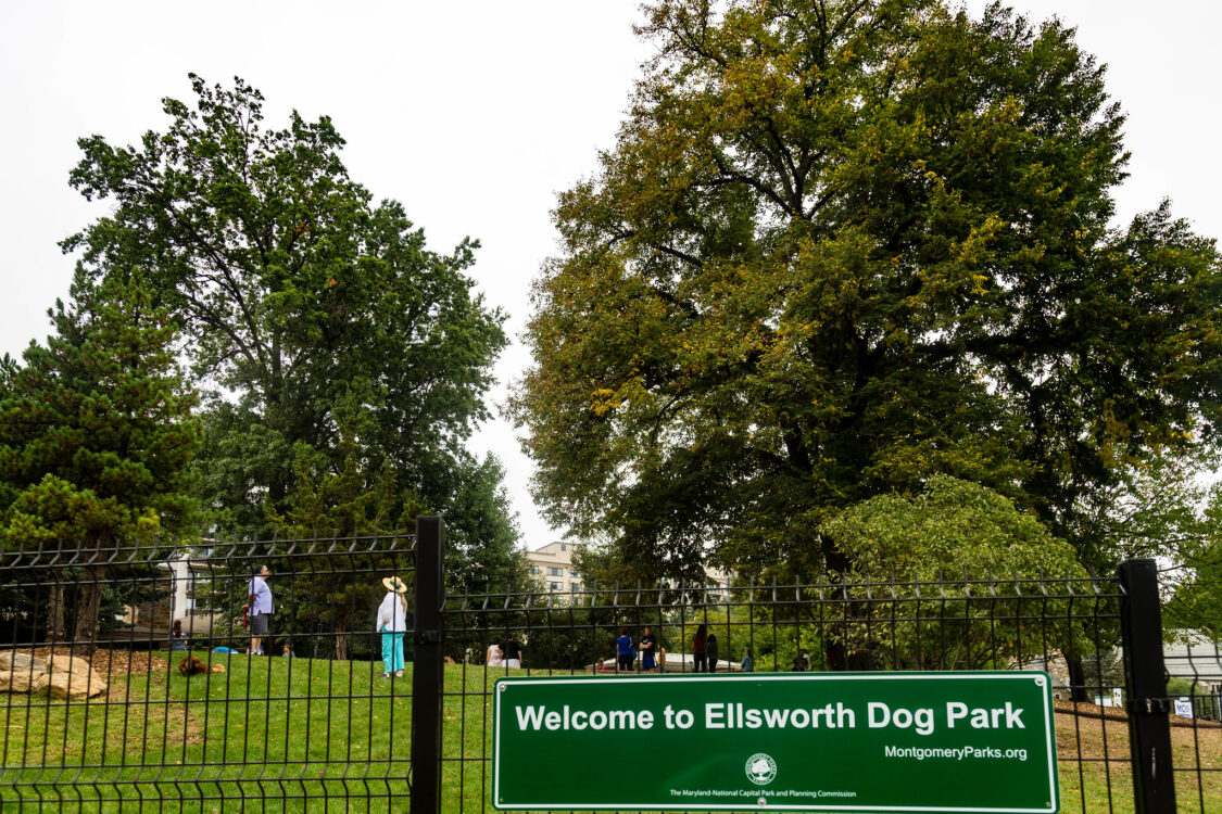 dog park sign ellsworth