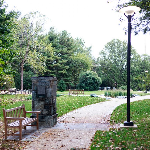 Western Grove Urban Park