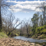 Dry Seneca Creek Stream Valley Park – 2020 – 3