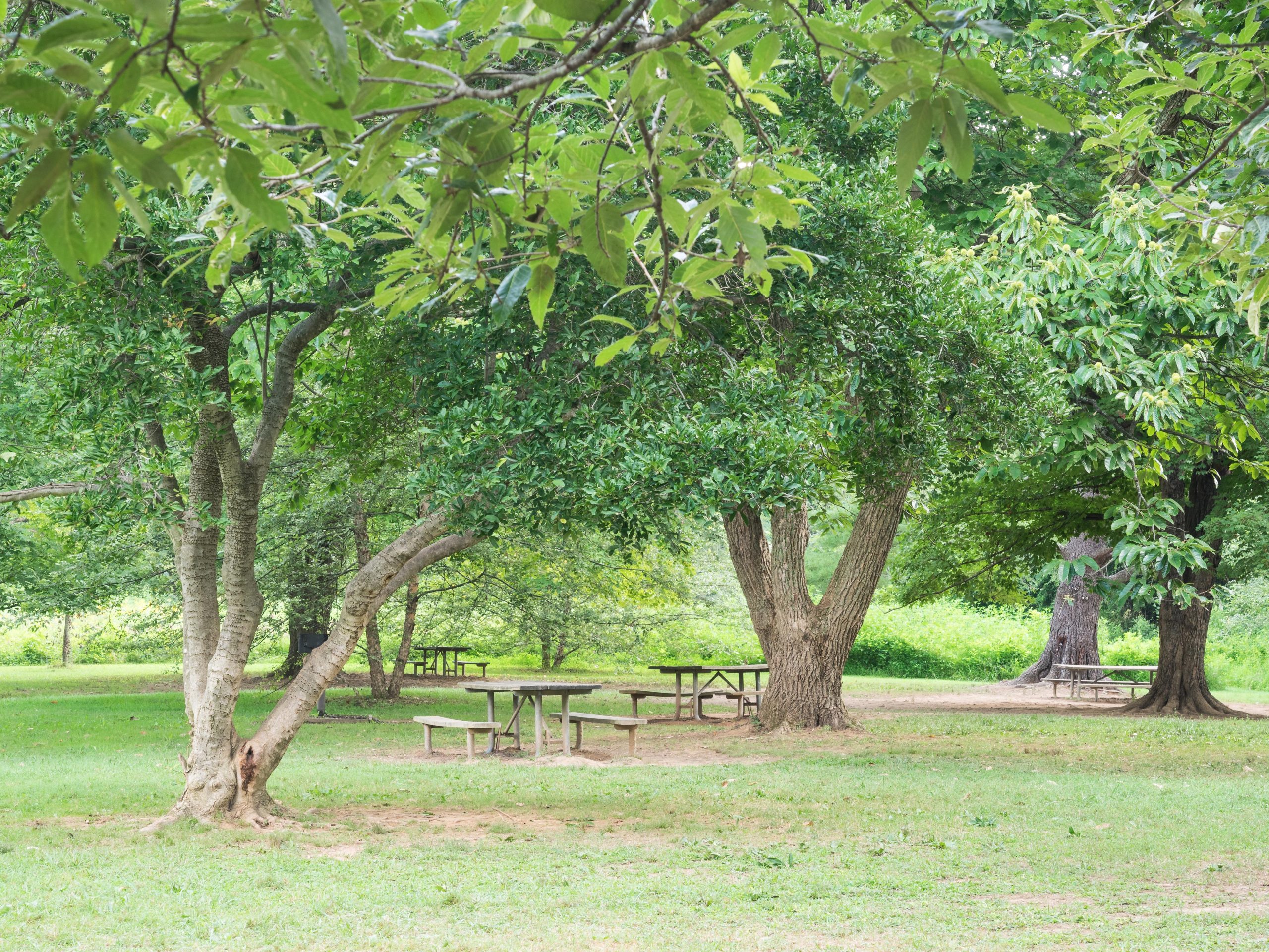 Seneca Landing Special Park Montgomery Parks