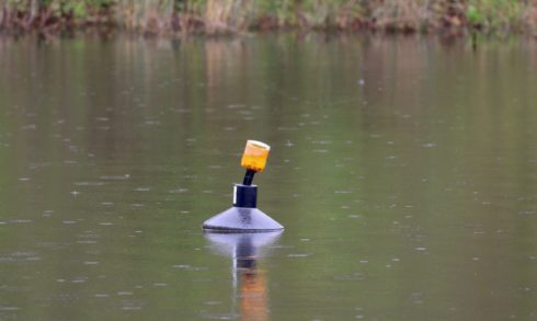 a goose beacon in a pond