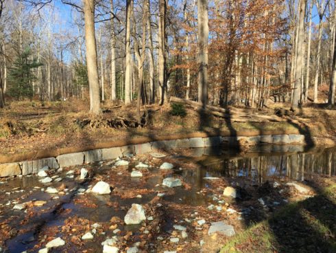 water, nature, stream restoration site, armored bank.
