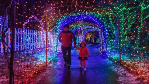 Man and child walking in Garden of lights display