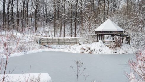 snow on the tea house at brookside gardens