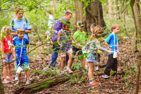 Children looking through the forest for nature items