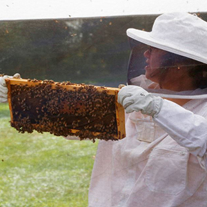 Beekeeper