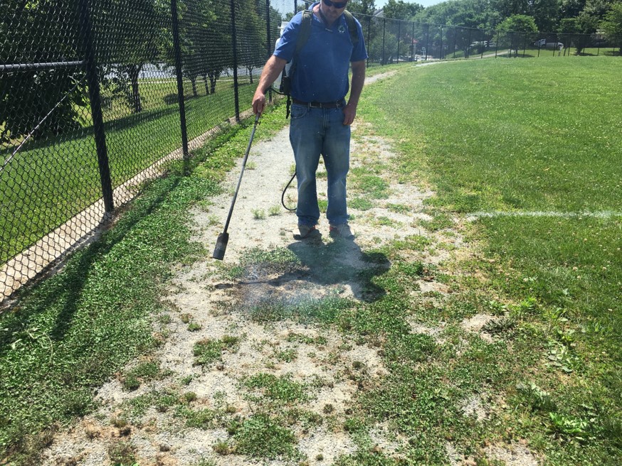 Flameweeding Weeds in Warning Track for Player Safety (002)