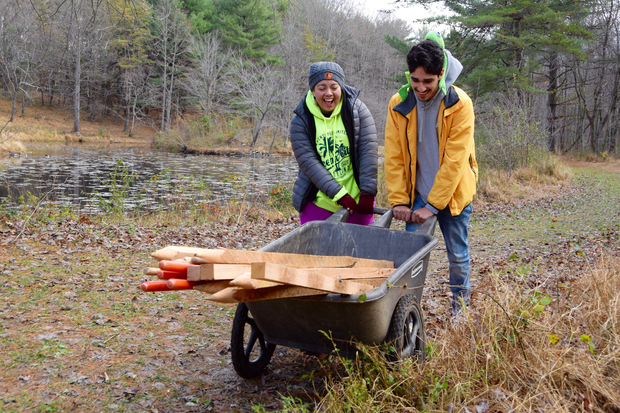 Students move wheel barrel at Maydale Conservation Park