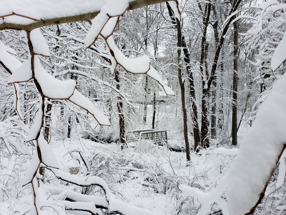 Snow covered footbridge