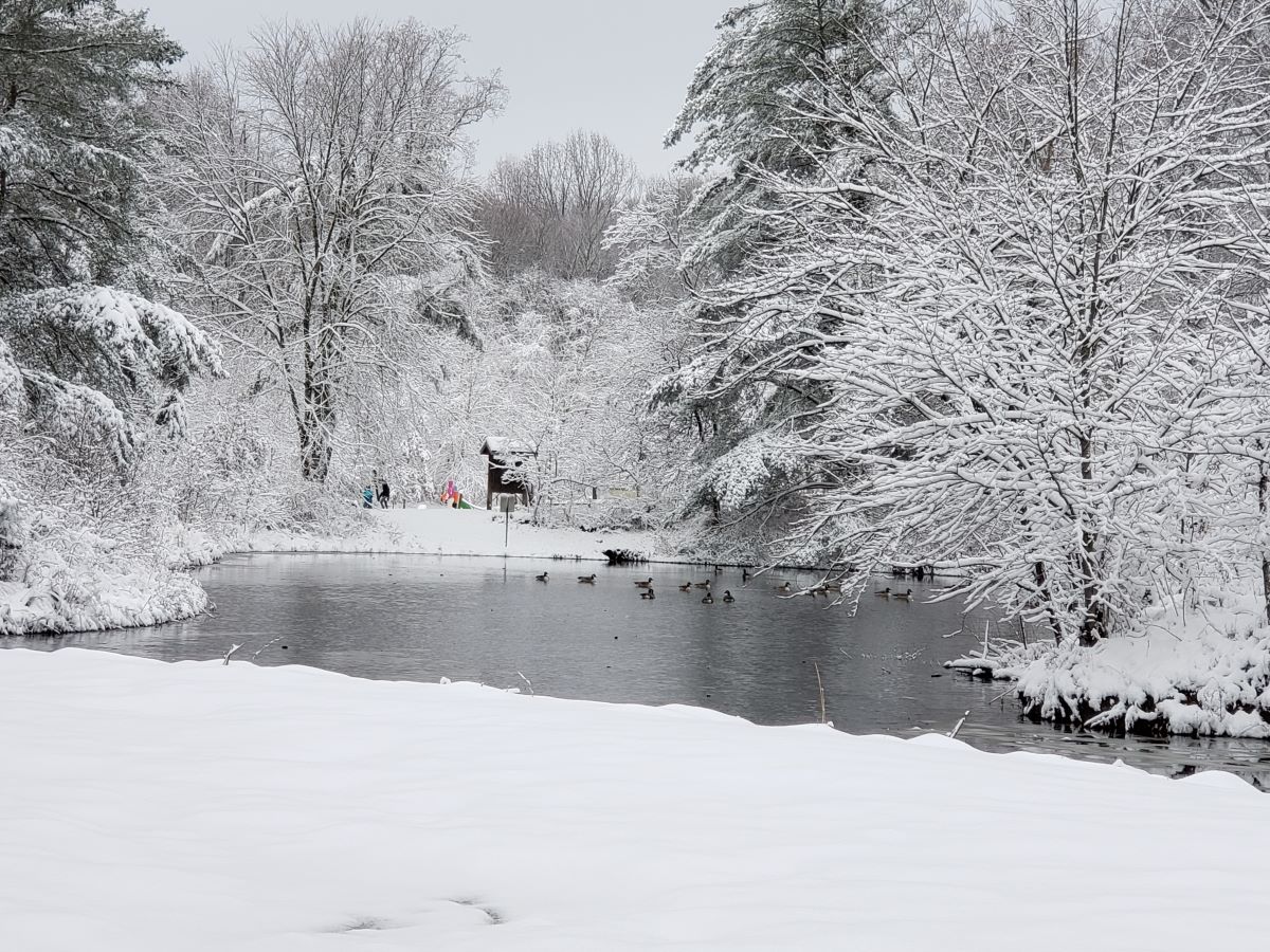 Snow covered pond